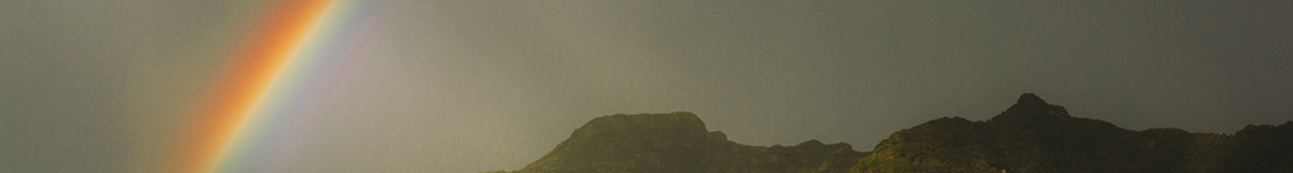 XG_Ghost的个人主页（封面预览） - 主页封面设置 - 站酷设计师XG_Ghost原创素材 - 站酷ZCOOL