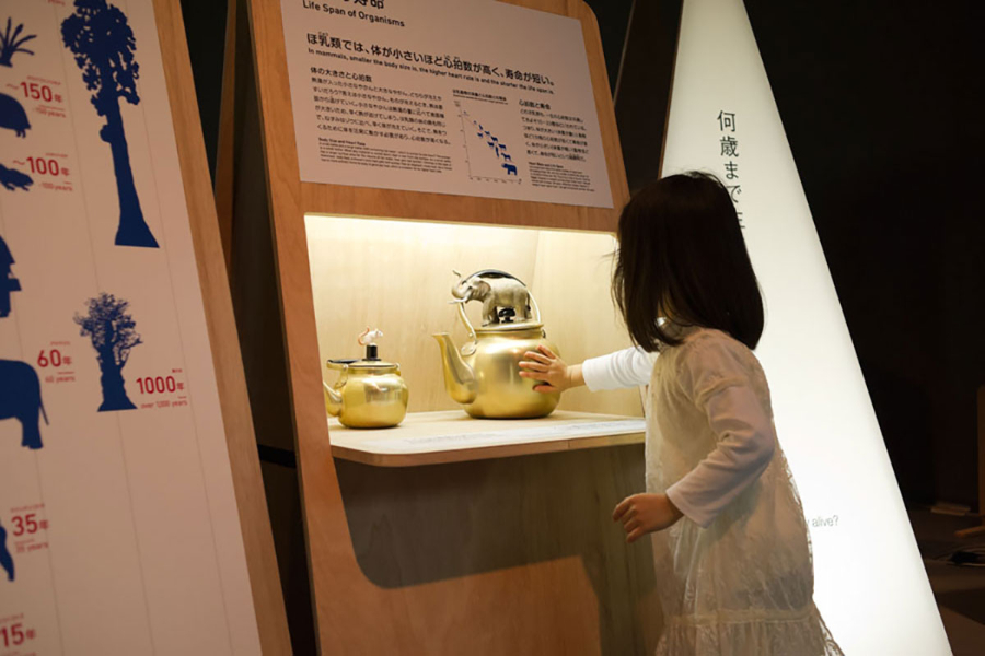 日本国立博物馆科学创新项目展览“世界末日的故事~你再也无法逃避的73个问题”