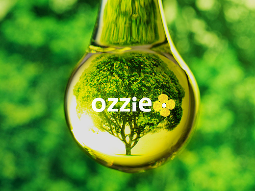 Label&Packaging_Ozzie Canola Oil 