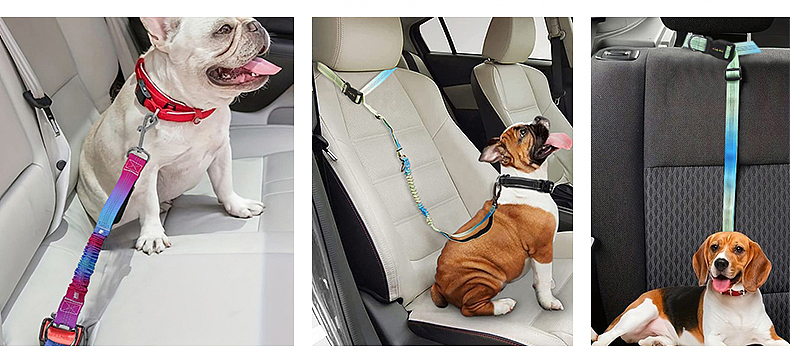 宠物狗狗渐变色跑步牵引绳