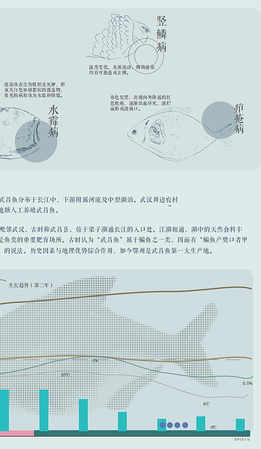 #2024青春答卷# 江汉农产