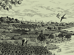 美麗鄉(xiāng)村建設(shè)