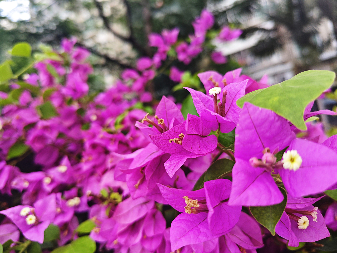 初来乍到,请多指教