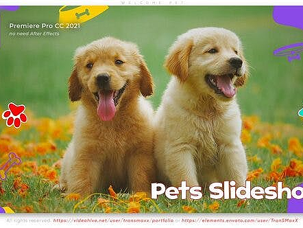 PR模板|可爱宠物医院诊所猫狗粮宠物志愿者宣传演示