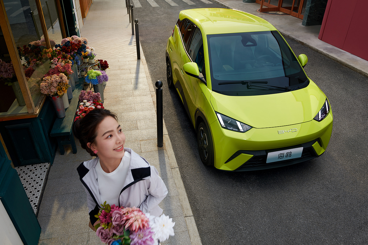 比亚迪汽车-海鸥