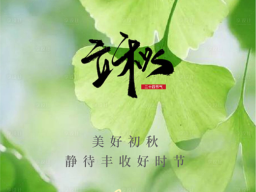 立秋海报