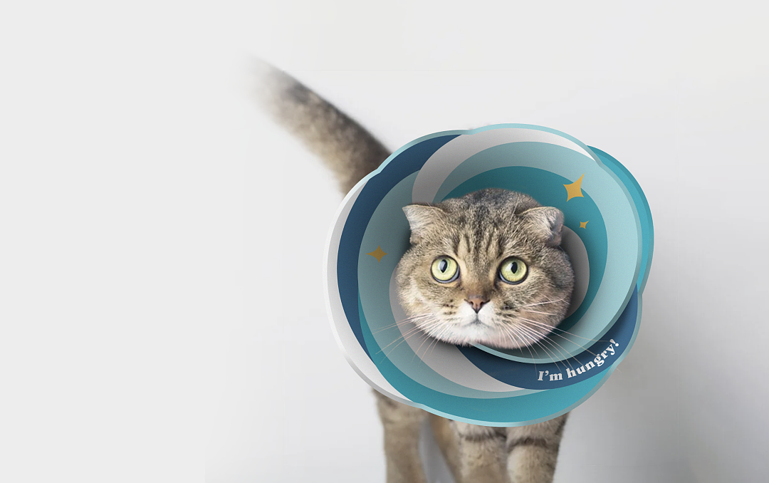 *文章部分图片为调性示意,非落地真实使用