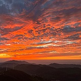 冬导的头像