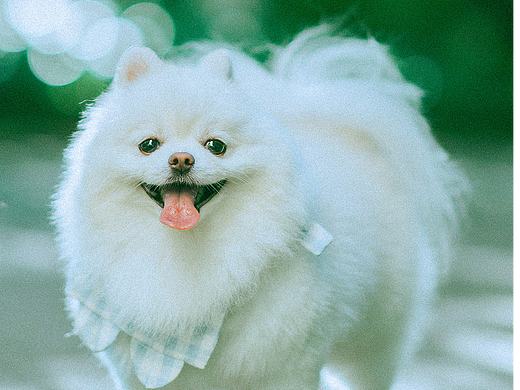 十九的夏天