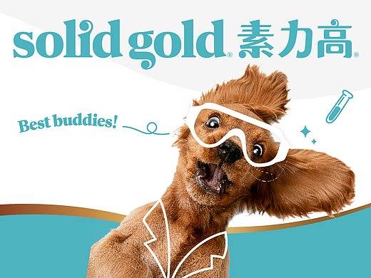 ALINE × Solid Gold 素力高｜品牌焕新升级啦！