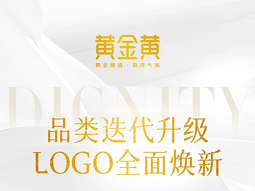 LOGO设计（个人主页-ZNjkyMjIzMDQ=） - Logo - 站酷设计师初初菌原创素材 - 站酷ZCOOL