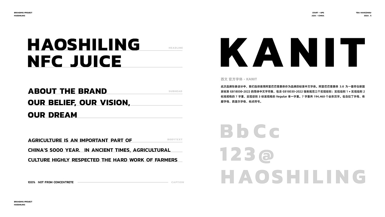 TDA - BRANDING NFC果汁 品牌策略&设计 part 1