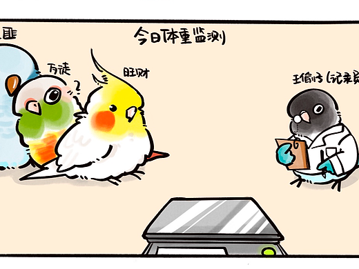 吾鸟谈 day1:称重记