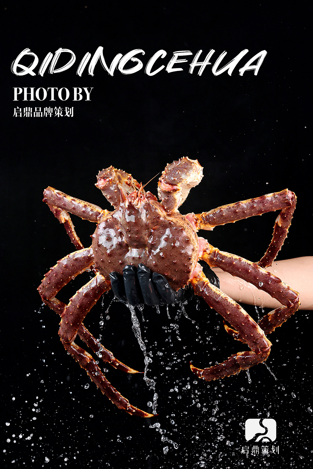 镜品拍摄案例-中餐（图ZMzc0NTUxNzk2） - 美食摄影 - 站酷设计师启鼎镜品视觉原创素材 - 站酷ZCOOL