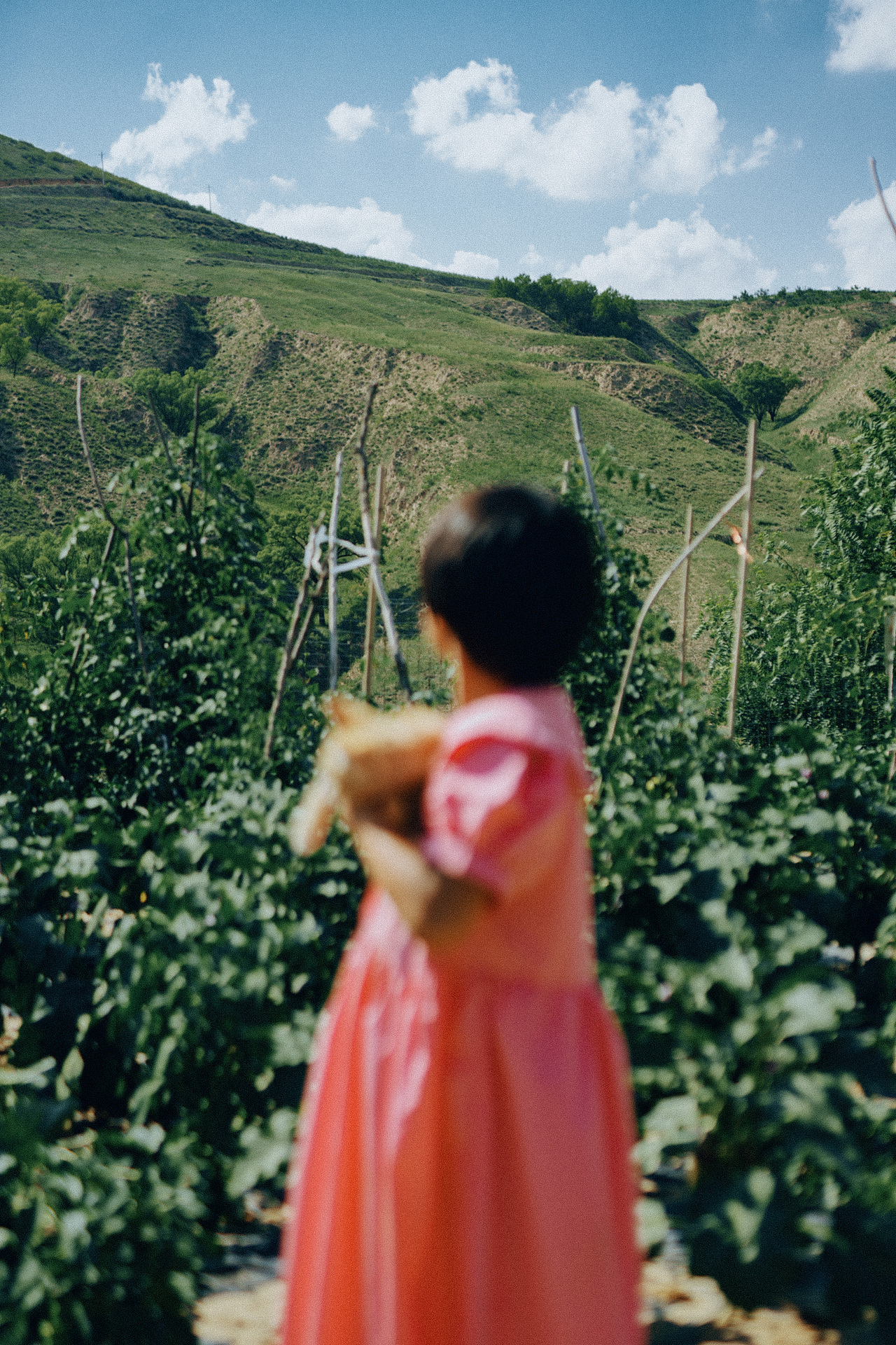 黄土高原上的希望（图ZMzc0NTY1MTY0） - 人文/纪实摄影 - 站酷设计师muyanfei原创素材 - 站酷ZCOOL