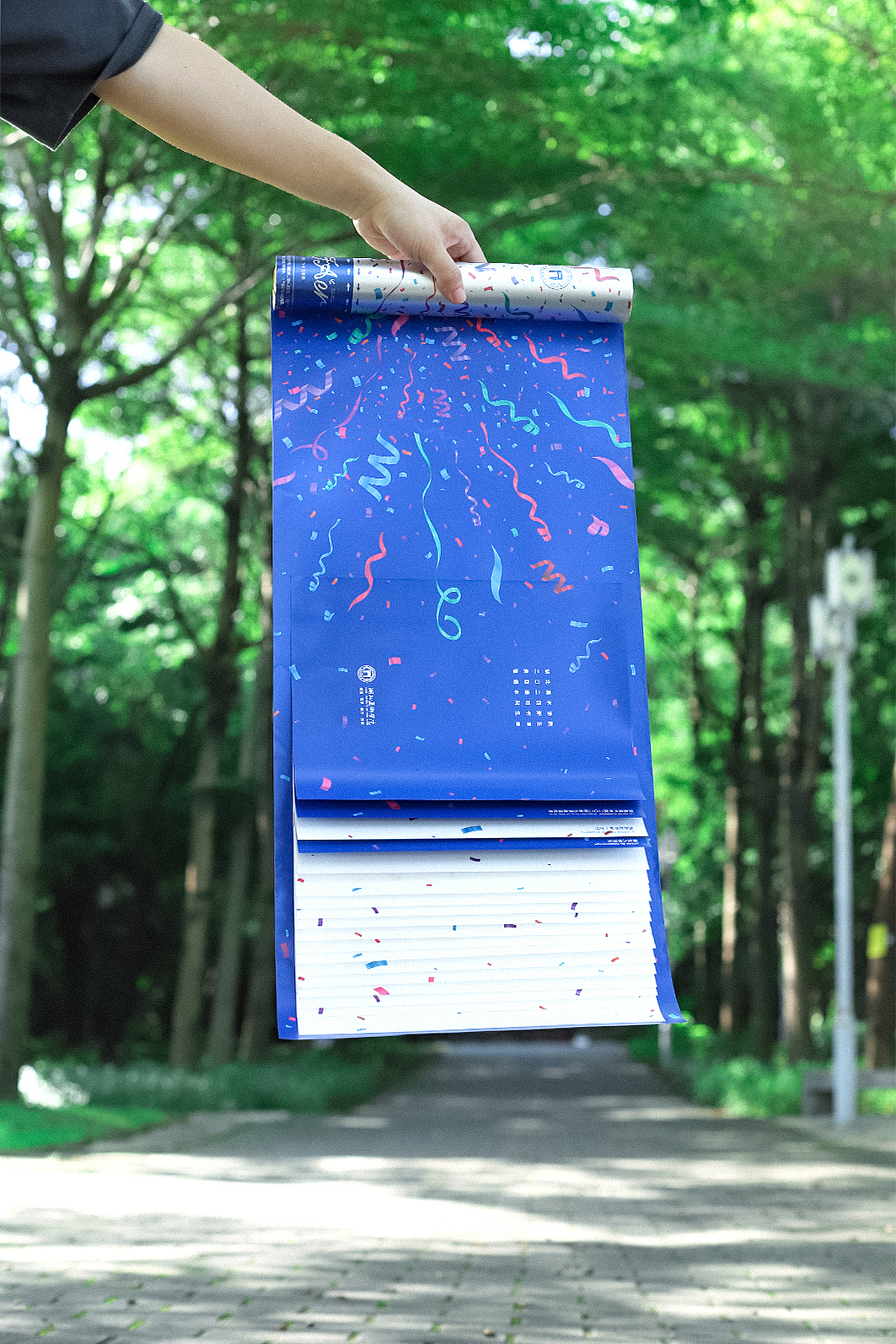 湖北美术学院2024新生录取通知书