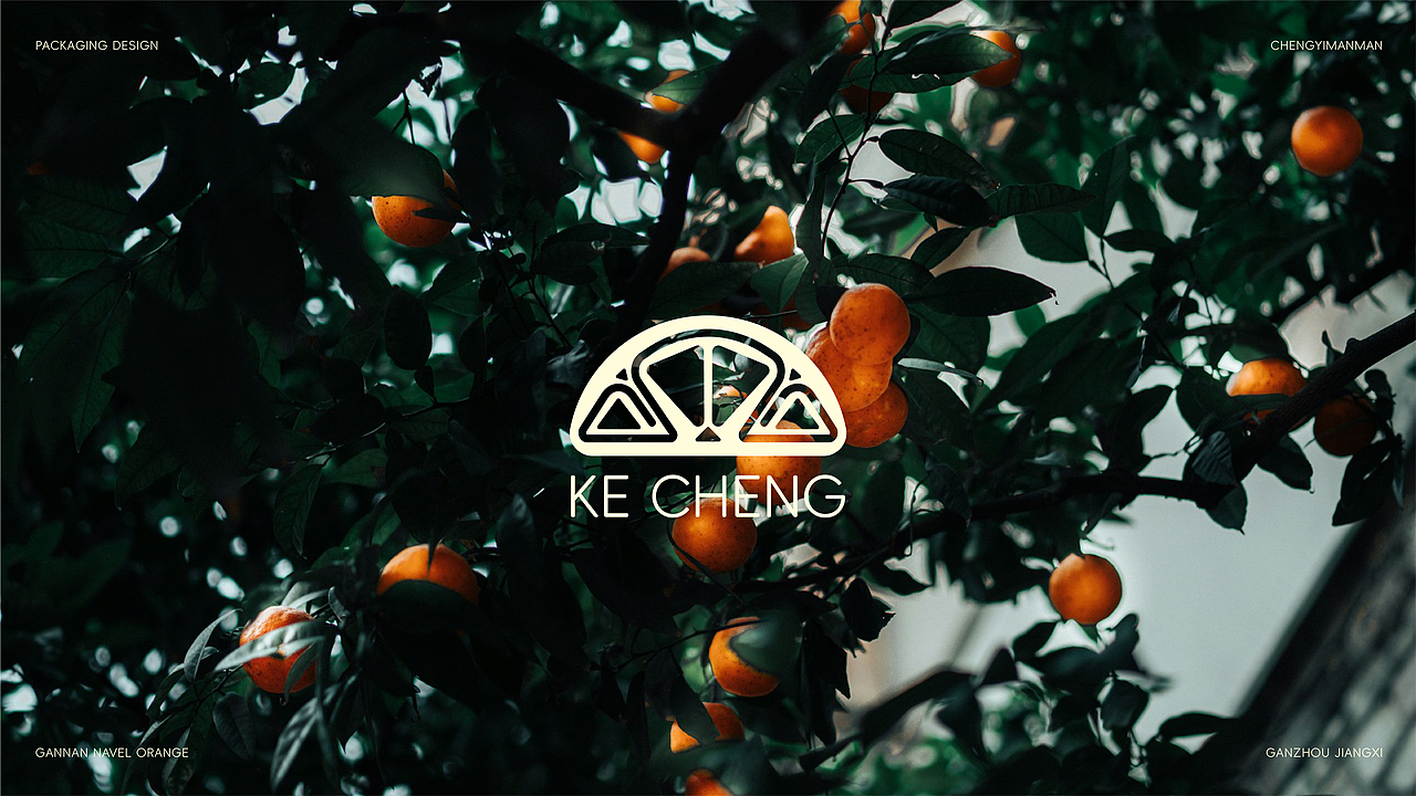 橙意满满——赣南客家脐橙包装设计(图ZMzc0NTc3OTY4) - 包装 - 站酷设计师MatchDmaiz原创素材 - 站酷ZCOOL