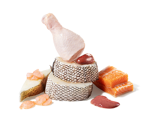 宠物食品摄影 / 宠物食品原料创意拍摄 by altlook®