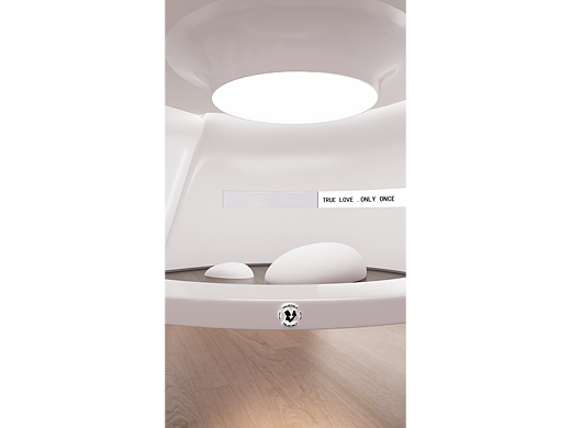 【蛋糕艺术直播间升级】