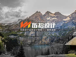 伍拾 品牌设计提案——登峰造极