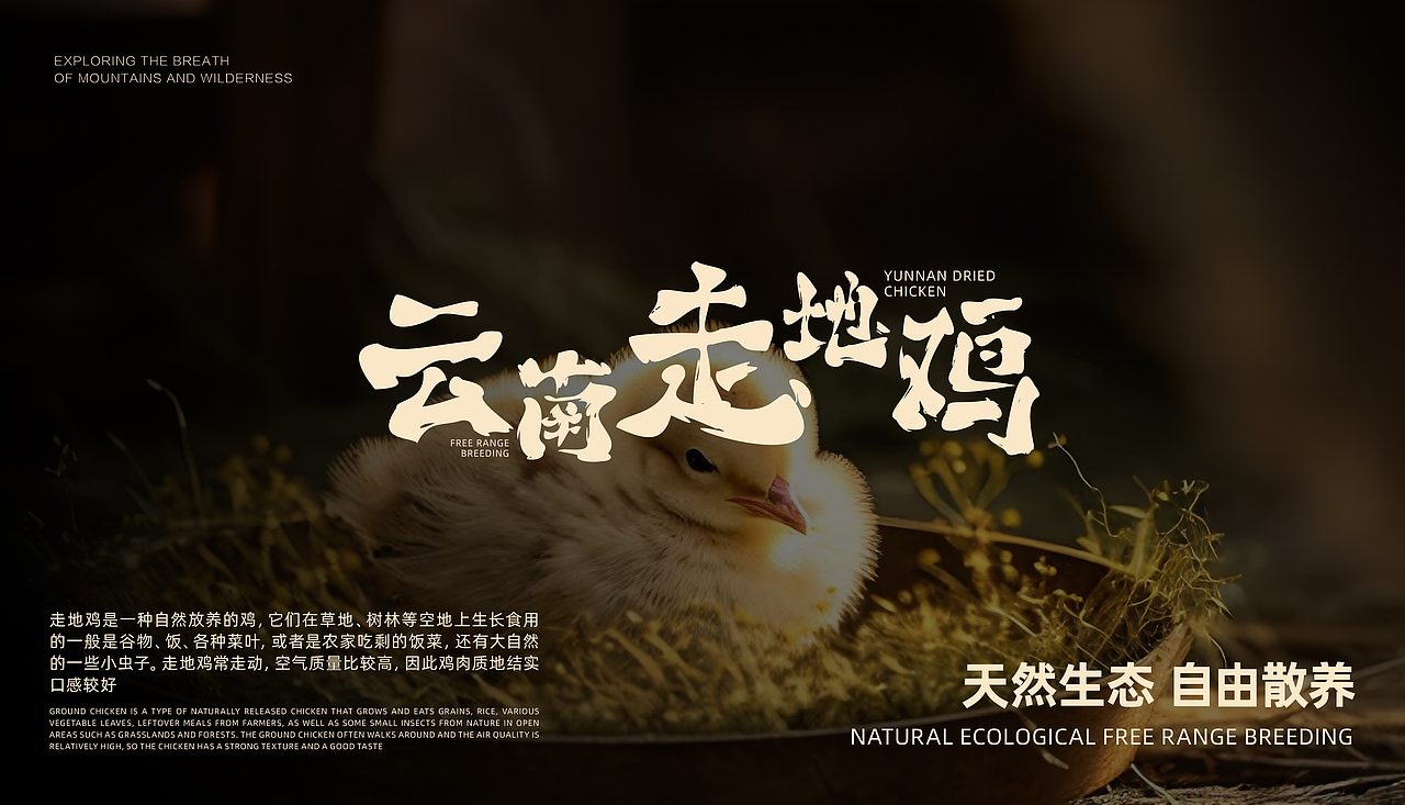 中原工学院丨大三丨视觉传达丨乔同学丨向量设计（图ZMzc0NzIzNzI4） - 软件界面 - 站酷设计师武汉向量设计原创素材 - 站酷ZCOOL