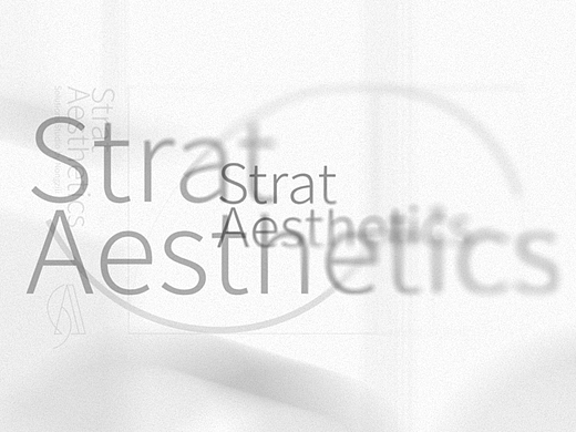 Start Aesthetics空间品牌全案策划定位设计-上海因心