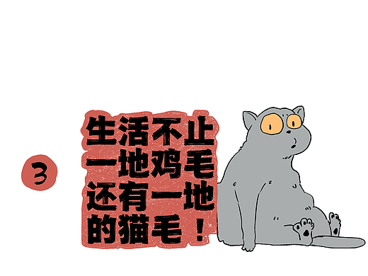 养猫劝退指南
