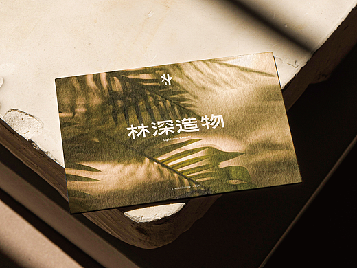 林深造物-Lightsome Creator|品牌视觉设计