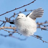 MMMyth的头像