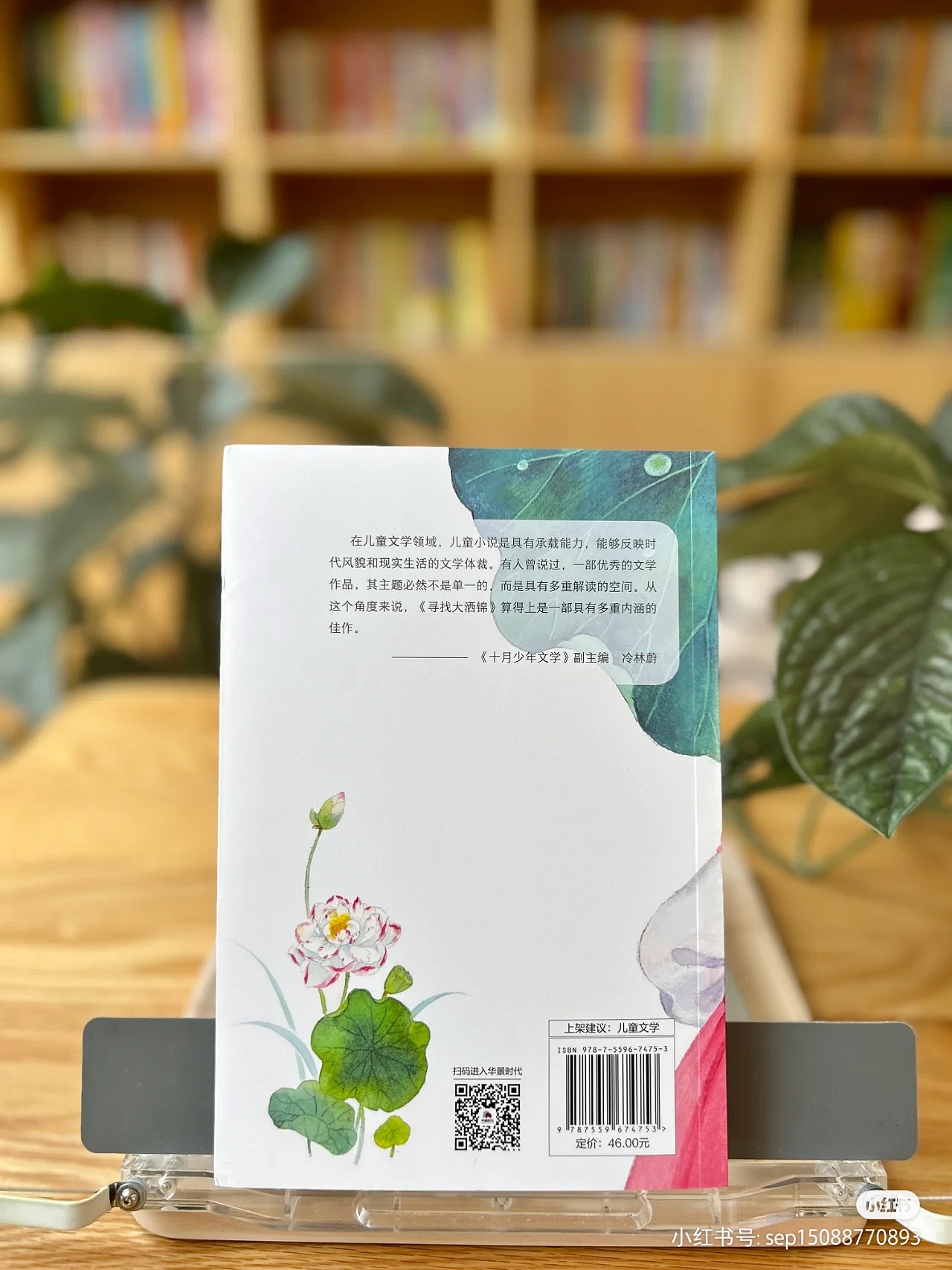 《寻找大洒锦》封面（图ZMzc0NzU4ODI4） - 商业插画 - 站酷设计师一屋子雨原创素材 - 站酷ZCOOL