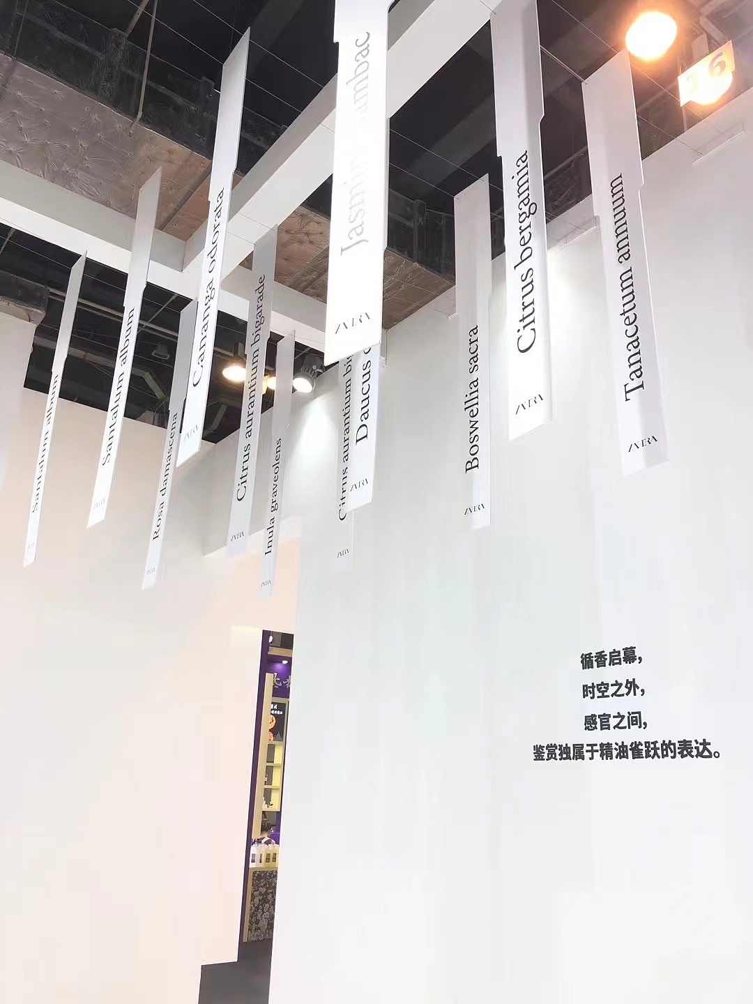 精油香氛供应商展会设计-芳香展