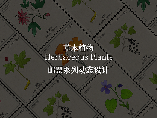草本植物邮票丨动效设计