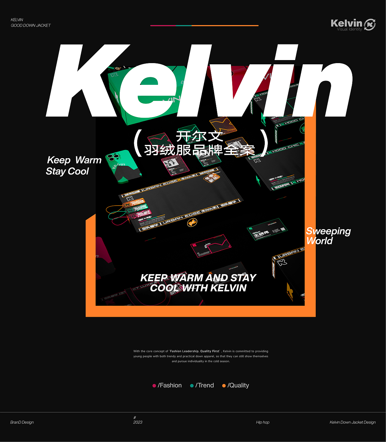 海南大学丨 研三丨视觉传达丨陈同学丨向量设计