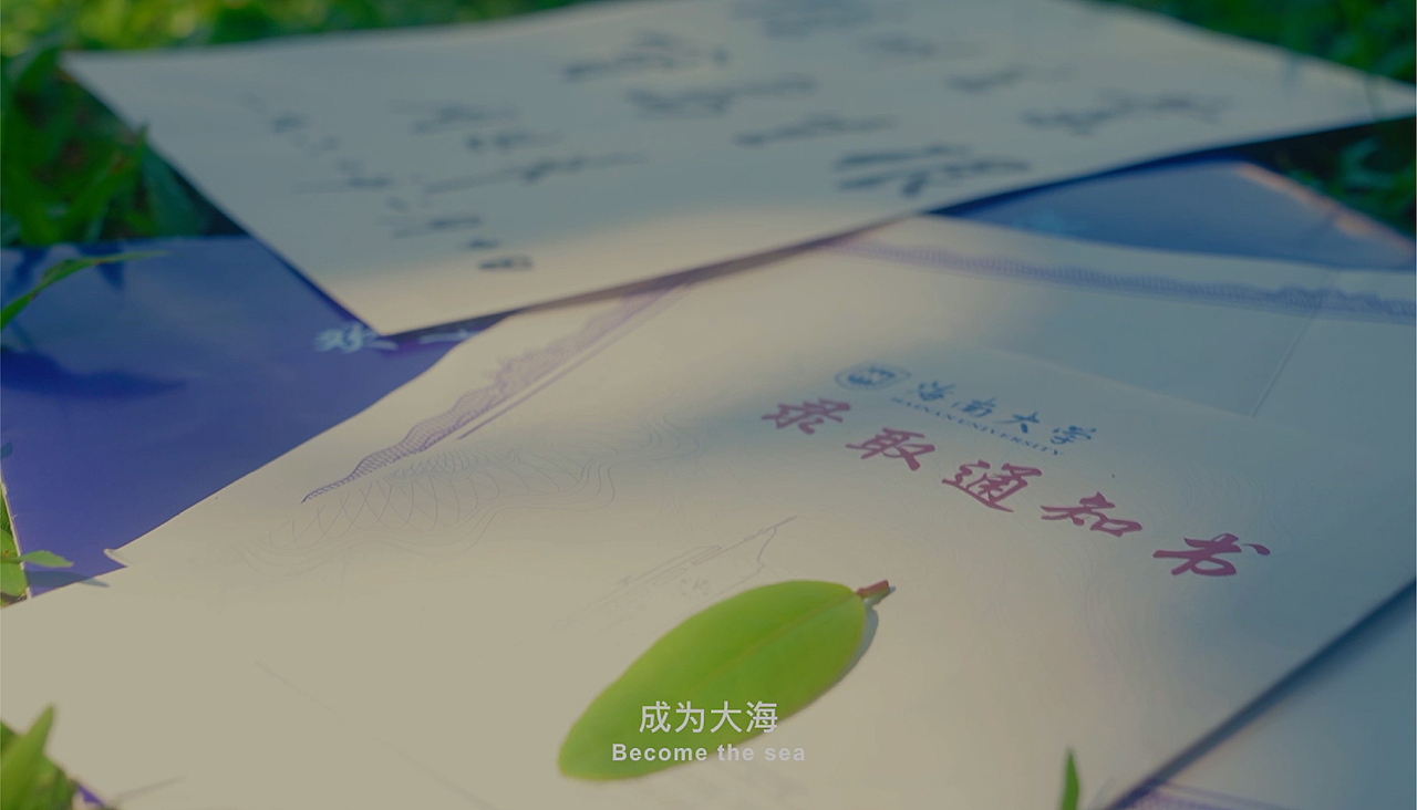 海南大学丨 研三丨视觉传达丨陈同学丨向量设计