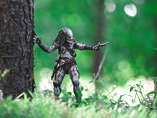 玩具摄影 NECA 铁血战士 Predator 灰背长老