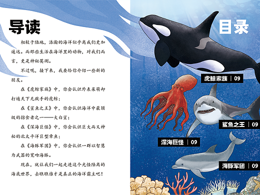 与小鸡叫叫合作科普绘本