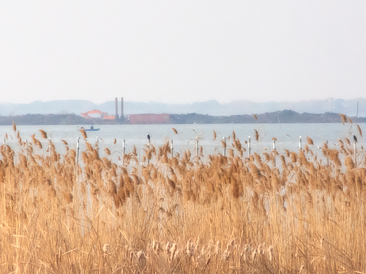 云渺渺，水茫茫。