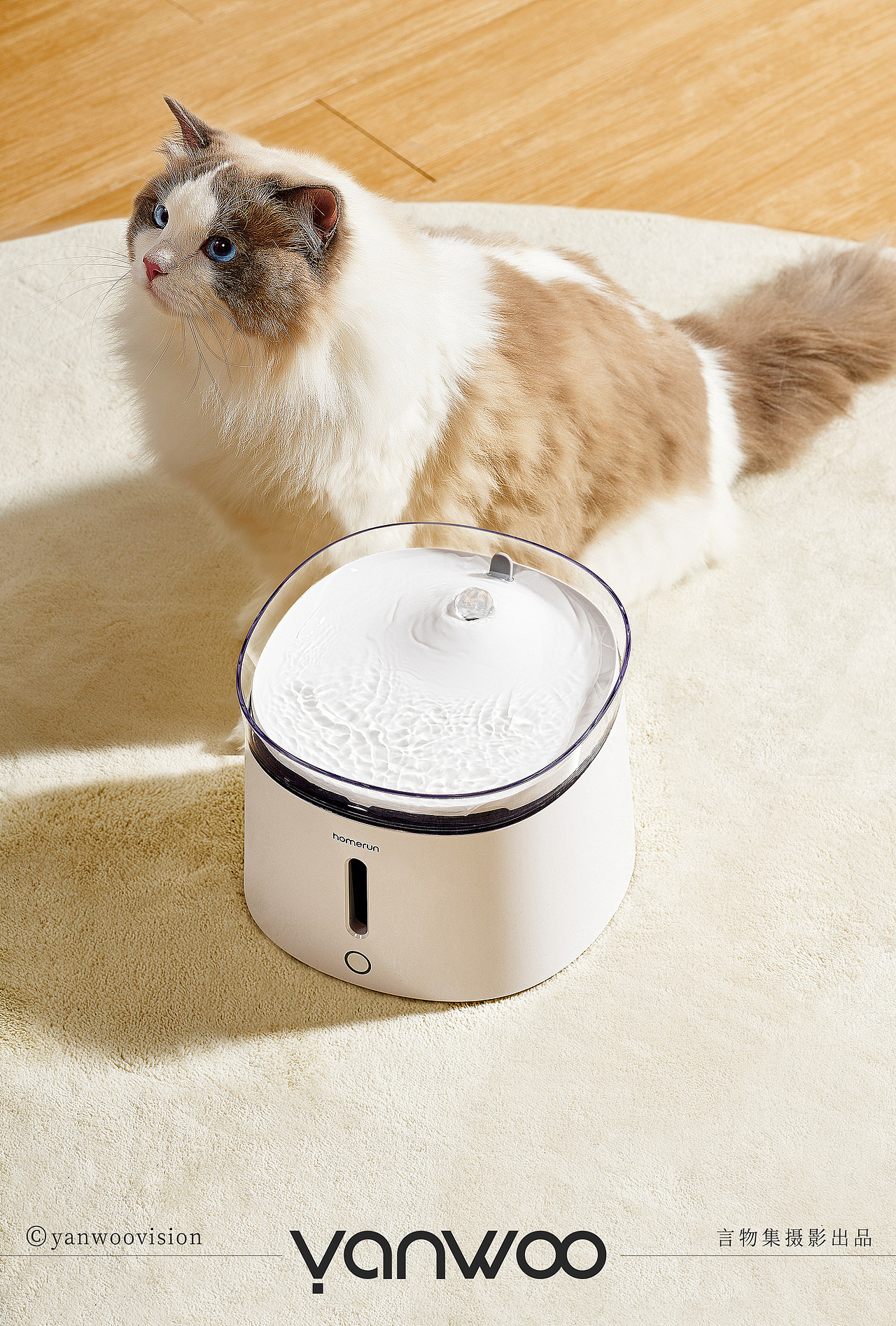 言物集 | 宠物用品猫狗饮水机电器小家电电产品拍摄影