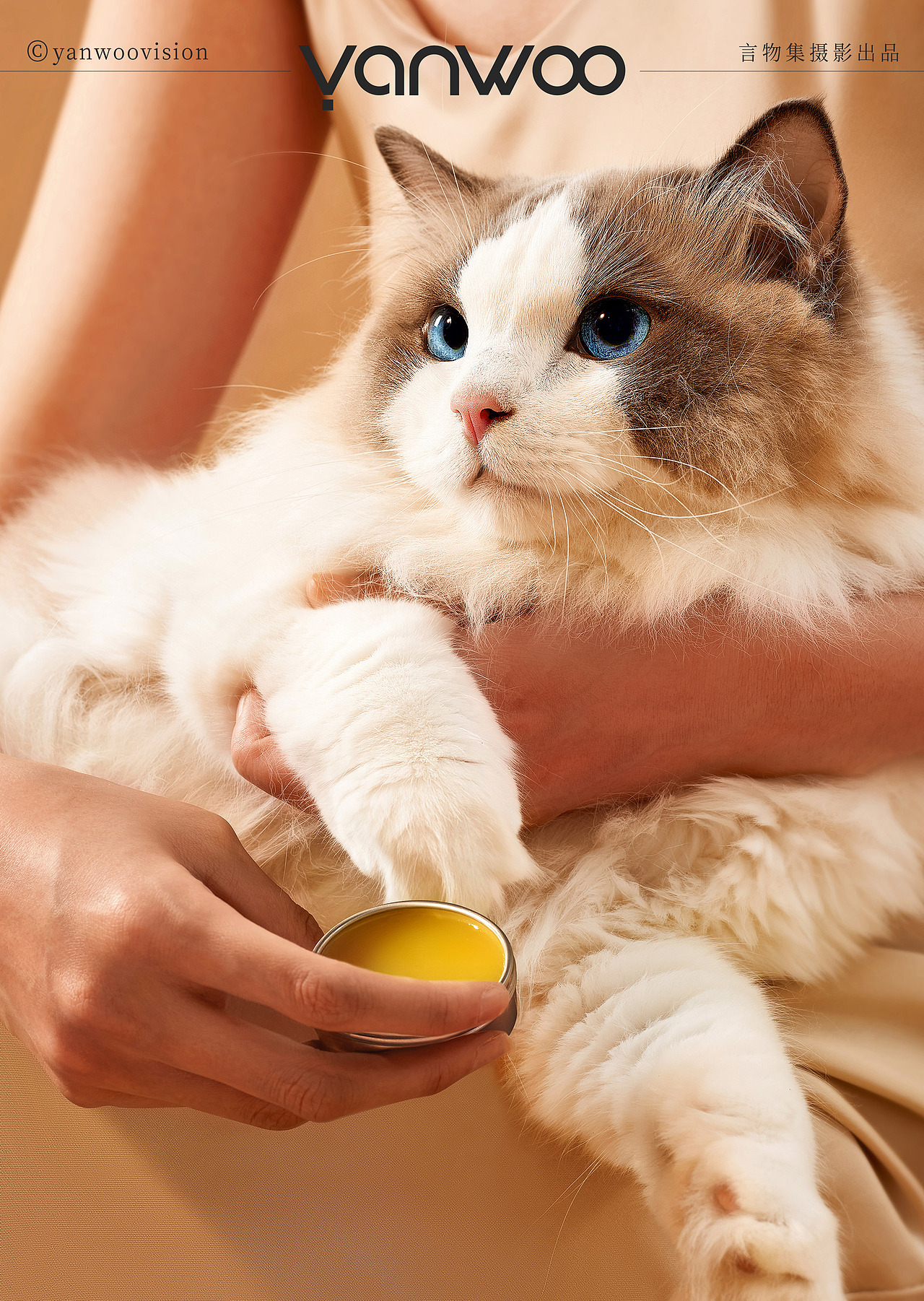 言物集 | 宠物用品猫狗饮水机电器小家电电产品拍摄影