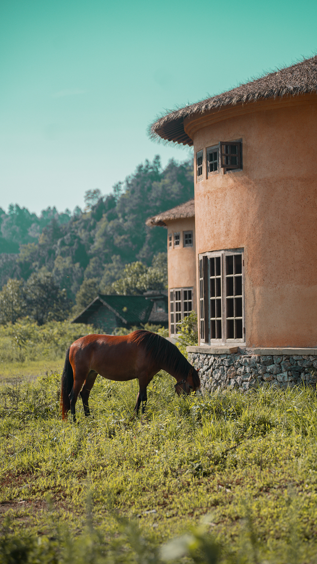 盛夏的热情一直生长 所有的期待终会开花（图ZMzc0ODkzNjQ0） - 风光摄影 - 站酷设计师WML1原创素材 - 站酷ZCOOL