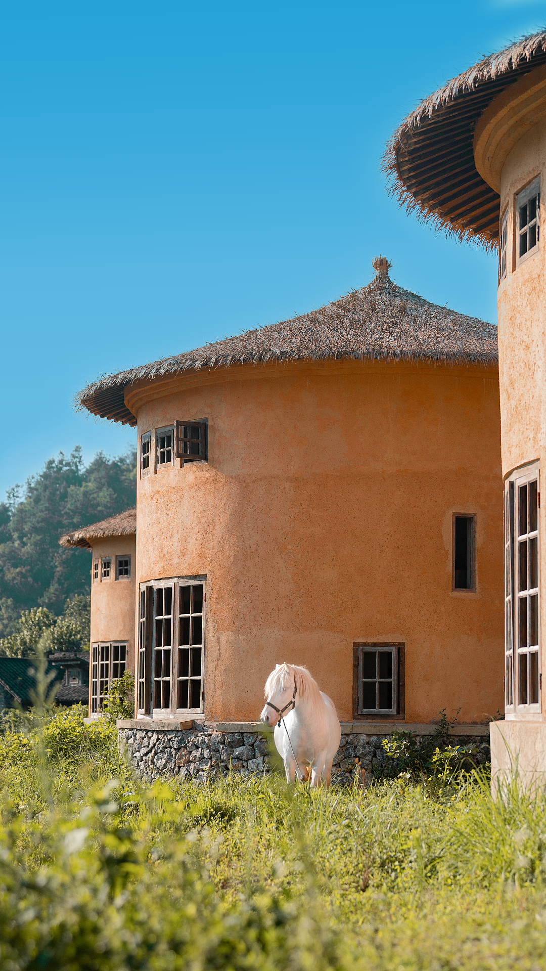 盛夏的热情一直生长 所有的期待终会开花（图ZMzc0ODkzOTQ0） - 风光摄影 - 站酷设计师WML1原创素材 - 站酷ZCOOL