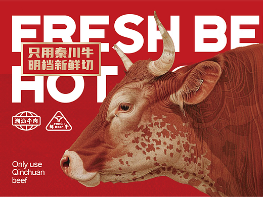 码头太太潮汕牛肉火锅品牌设计