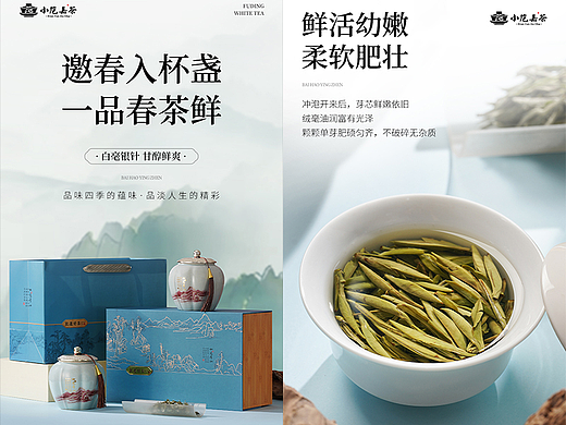 电商详情页|白毫银针详情页