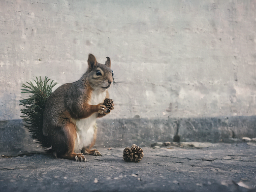 人生一刻·IIX（個(gè)人主頁-ZNzAxNzc0MzI=） - AI作品 - 站酷設(shè)計(jì)師V里里原創(chuàng)素材 - 站酷ZCOOL