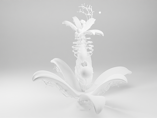 它生長出自由之翼，飛向瀑布花海（個人主頁-ZNzAxNzc1ODA=） - 人物/生物 - 站酷設計師Hailey脆脆原創(chuàng)素材 - 站酷ZCOOL