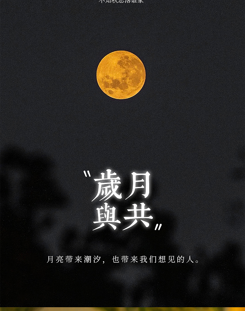 法式中古风实木台灯