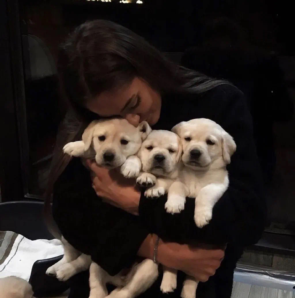 小鹿吃飽了的個人主頁（封面預覽） - 主頁封面設置 - 站酷設計師小鹿吃飽了原創(chuàng)素材 - 站酷ZCOOL