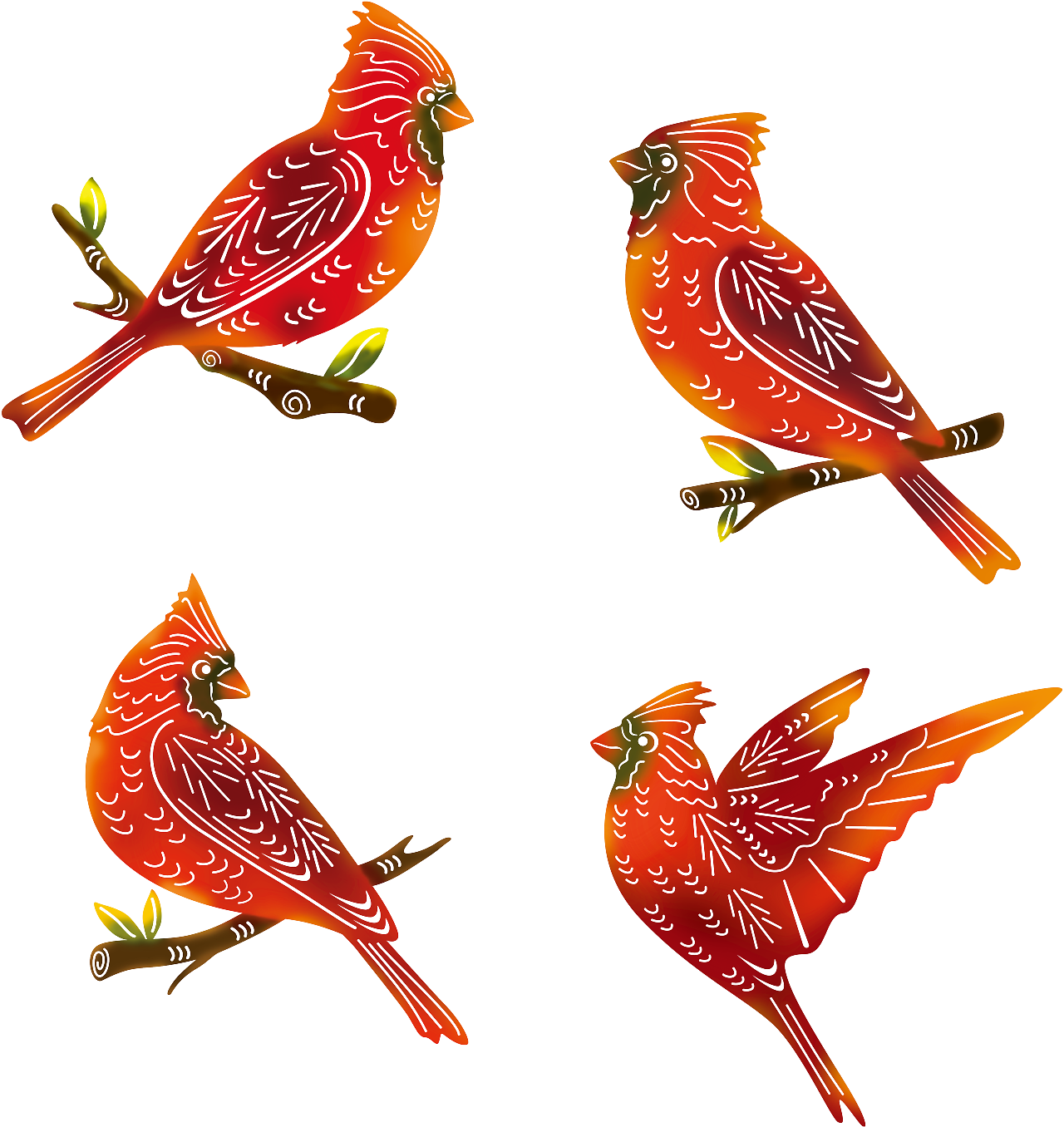 红衣主教鸟设计