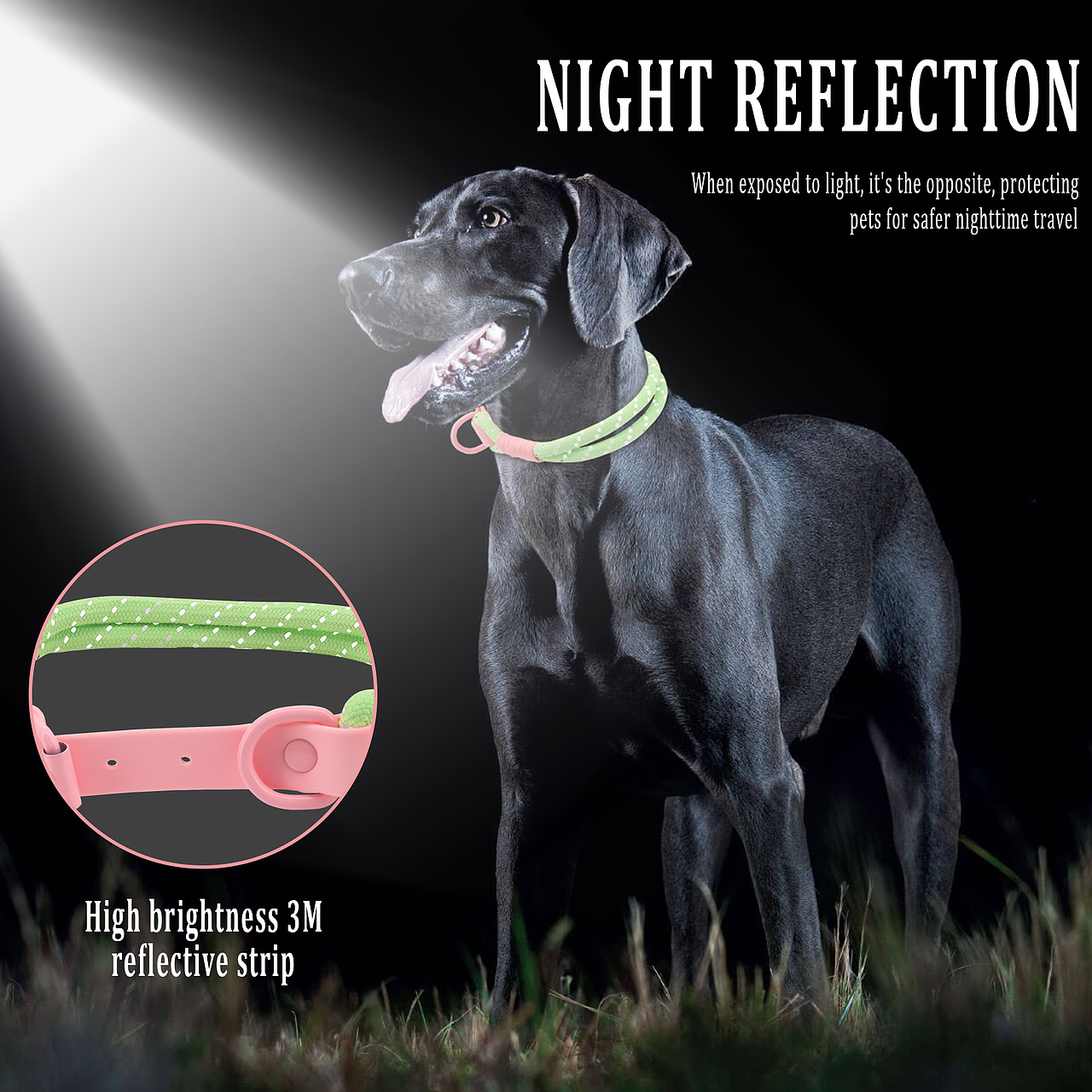 PVC尼龙宠物项圈