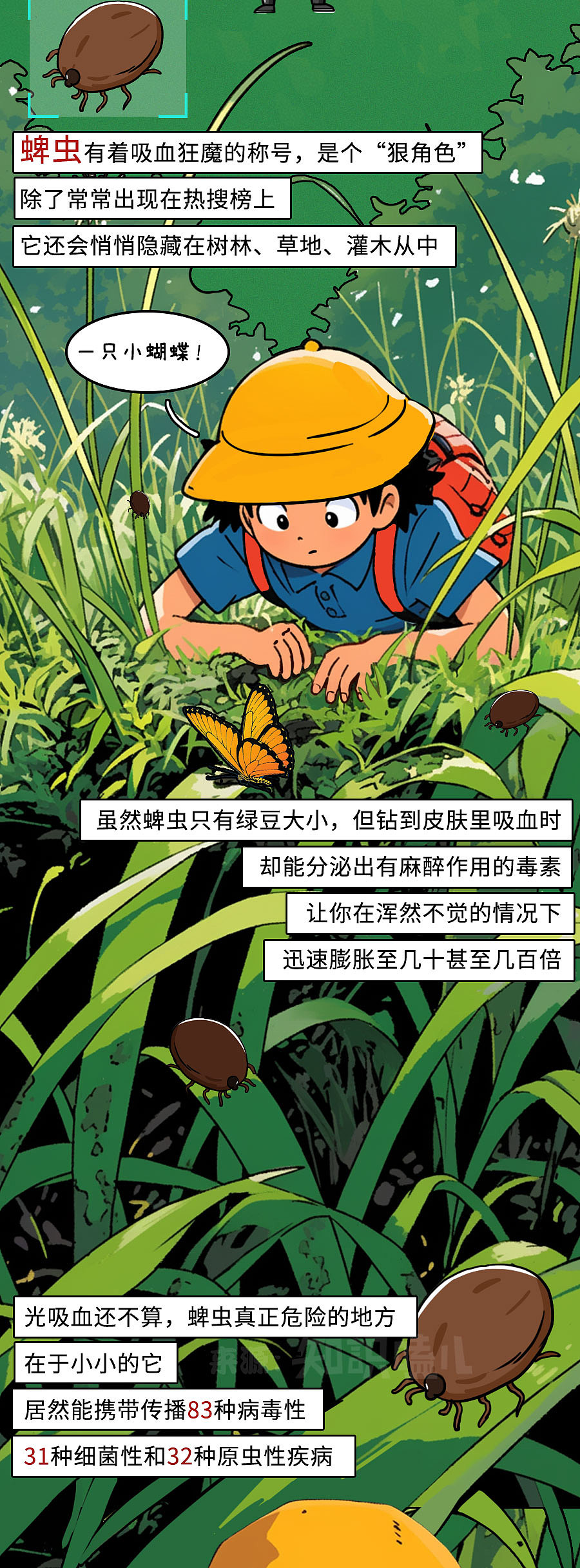 夏日生死劫:被TA咬后,轻则剧痛、红肿,重则丧命!